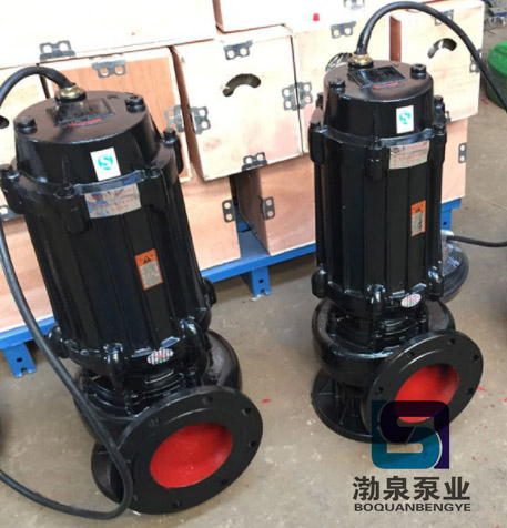 100WQ110-10-5.5_潛水式無(wú)堵塞排污泵